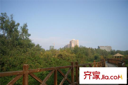 中萃1829周邊2公里處的紅樹林公園
