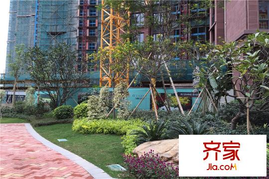 天健陽光花園小區(qū)園林（2015-12-4）