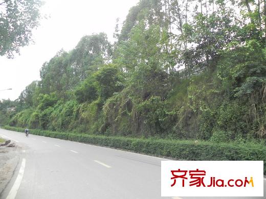 佳兆業(yè)1號(hào)周邊路況20130918