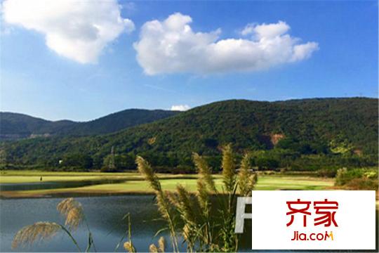 十里龍泉園林綠化（2015-10-20）
