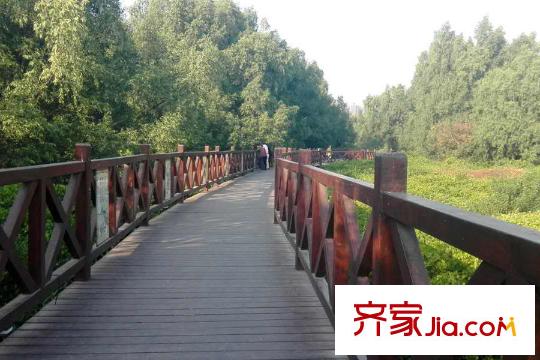 泰達(dá)紅樹(shù)灣周邊中興南路紅樹(shù)林公園棧道