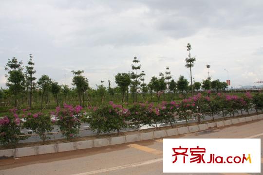 方直瓏湖灣別墅配套圖周邊環(huán)境20100811