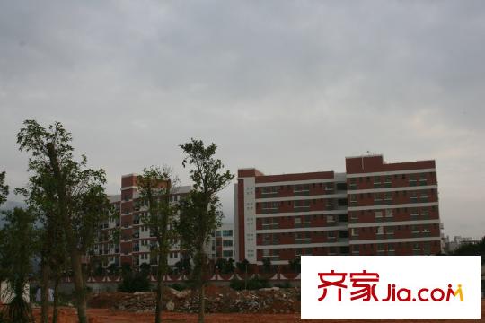 龍光城別墅配套圖學(xué)校