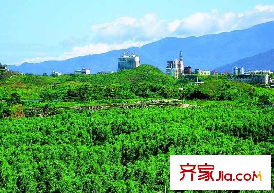 皇庭波西塔諾別墅配套圖大亞灣紅樹林公園