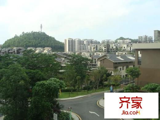 萬林湖外景圖 