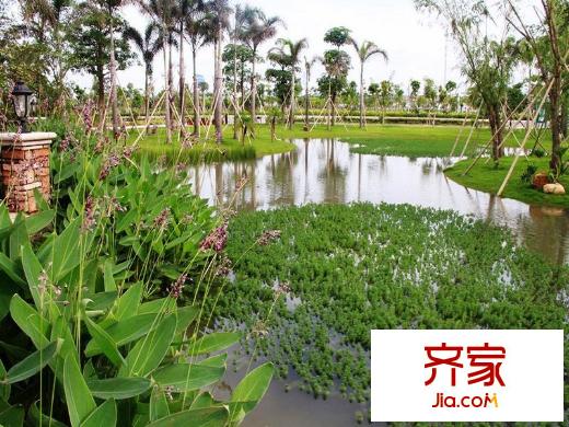 中信凱旋城2013.02.28