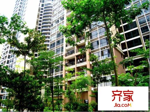 德洲城小區(qū)園林20121201