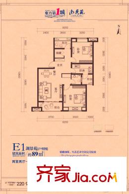 東方墅E1 2室2廳1衛(wèi)1廚