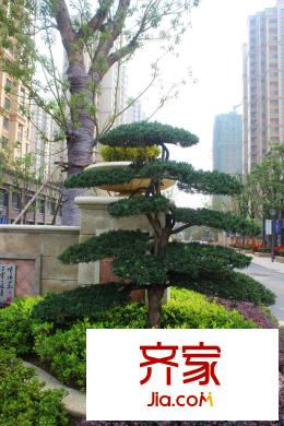 華軒中鑫御景IMG_4015
