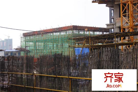 麗豐一品_MG_4910