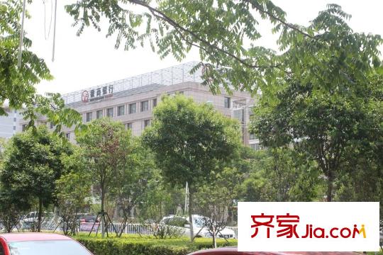 麗豐一品10