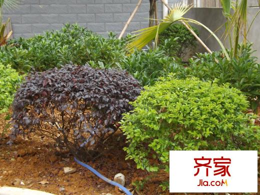 南國風光小區(qū)20130415