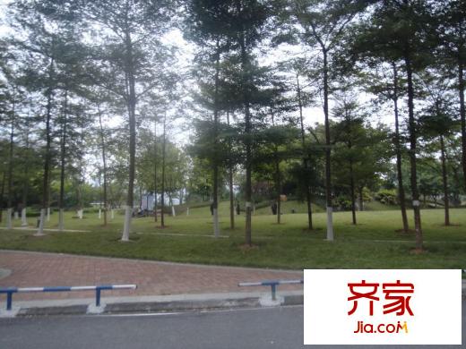 盛天龍灣對外開放的公園
