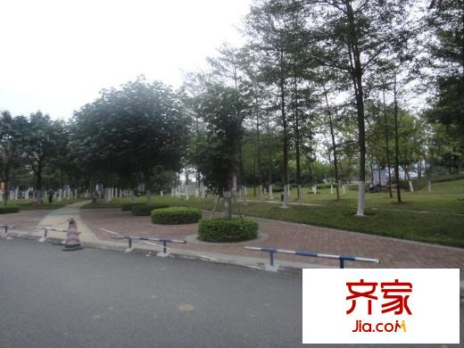 盛天龍灣對外開放的公園