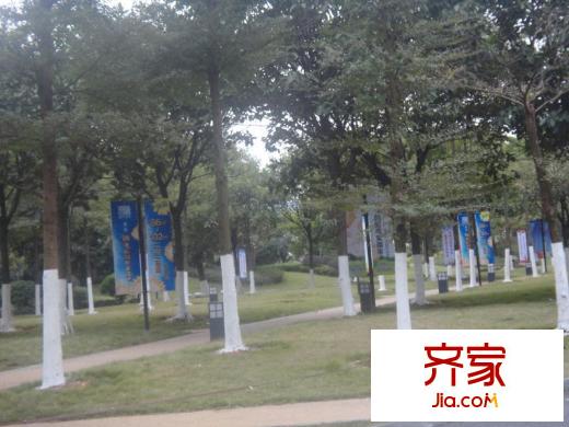 盛天龍灣對外開放的公園