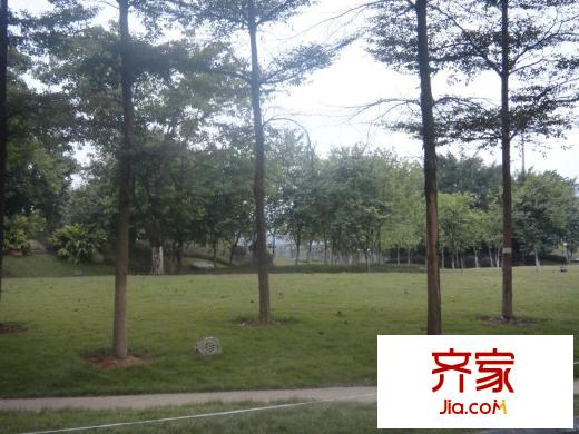 盛天龍灣對外開放的公園