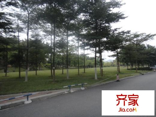 盛天龍灣對外開放的公園