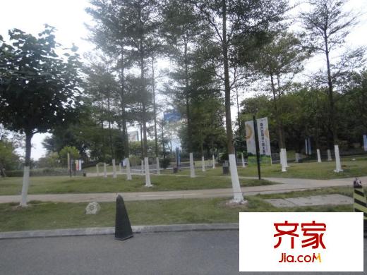 盛天龍灣對外開放的公園