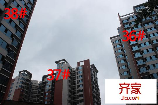 兆安?四季花城20150410