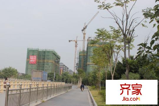 爾海南山御景實(shí)景圖