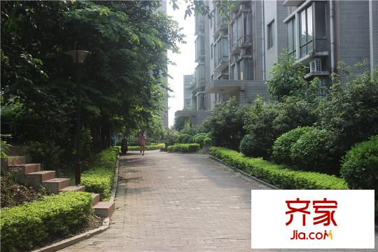 在水一方2014.9.6小區(qū)園林