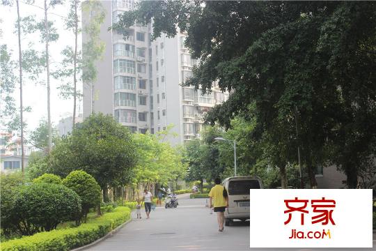 在水一方2014.9.6小區(qū)園林