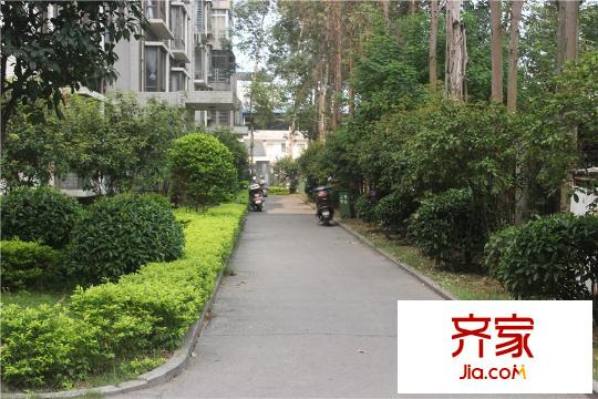 在水一方2014.9.6小區(qū)園林