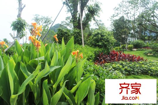 盛天悅景臺(tái)園林綠化