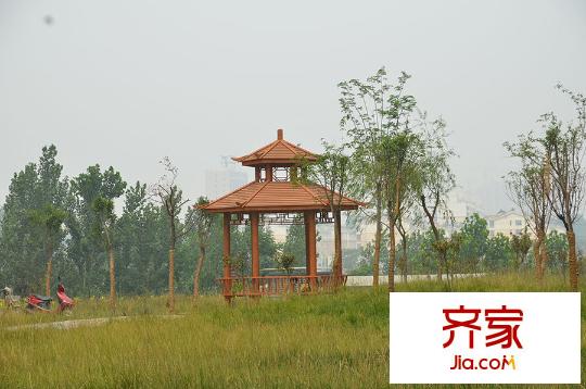 領(lǐng)將?帥府花園實(shí)景圖9
