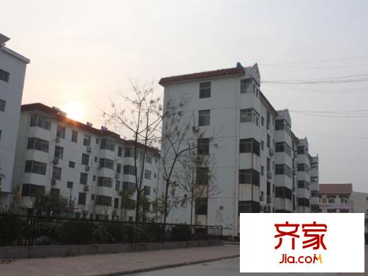 和平小區(qū)實景圖1