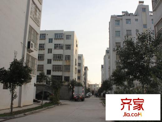濱河苑外景圖3