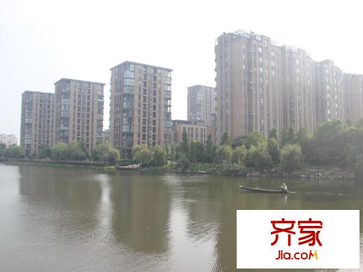 金湖灣沿湖景觀樓座