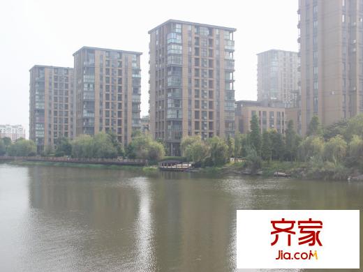 金湖灣沿湖景觀樓座