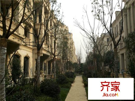 紫郡花園實(shí)景圖