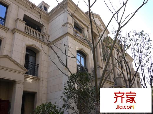 紫郡花園實景圖