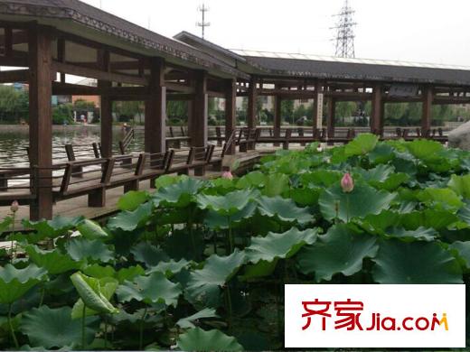 平方米莊新橋江荷花池