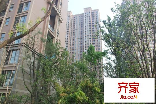 長(zhǎng)江越領(lǐng)小區(qū)內(nèi)環(huán)境