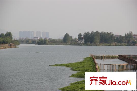 景瑞上府周邊的犭央犭茶湖