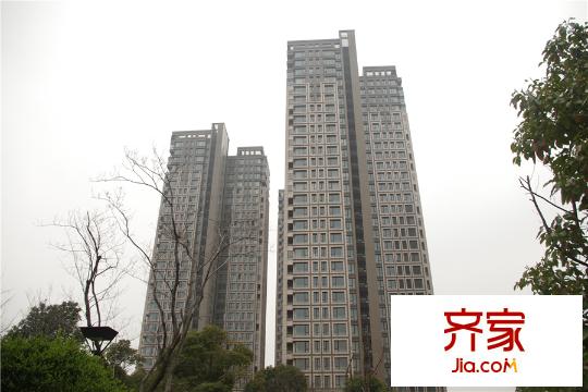 金地天璽20150323