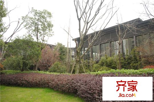 金地天璽項(xiàng)目現(xiàn)場(chǎng)(20150323)