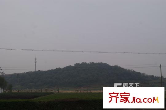 正鼎興福錦園山（遠(yuǎn)景）