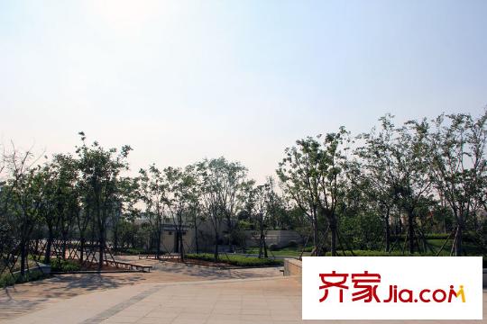 中冶梧桐園兩湖公園