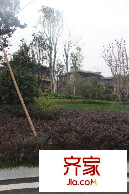 中航?翡翠灣別墅區(qū)綠化