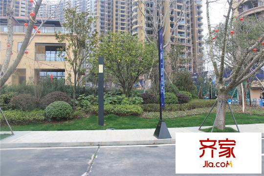 中航?翡翠灣道路一側(cè)綠化