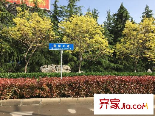 亨通君成國際項(xiàng)目周邊配套
