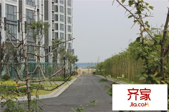 華冶向陽(yáng)里外景圖4