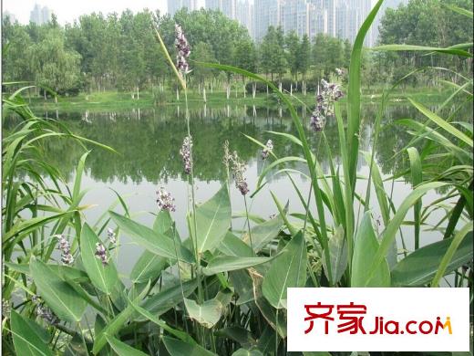 合肥寶能城塘西河公園