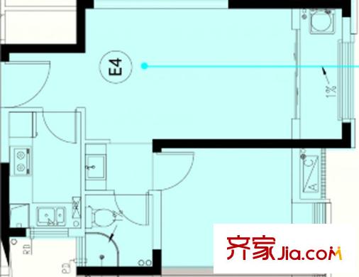 合肥寶能城公寓30#樓E4戶型 1室1廳1衛(wèi)1廚