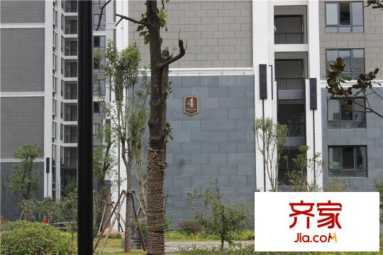 華冶向陽里實(shí)景圖小區(qū)實(shí)景（2015.9.22）
