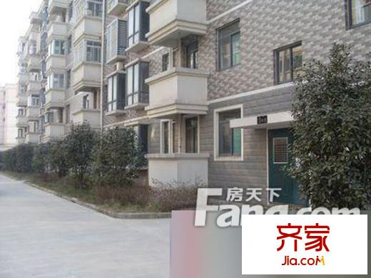 好運(yùn)錦繡年華外景圖2